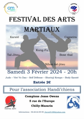 Festival d’Arts Martiaux à Chilly-Mazarin